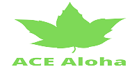 ACE Aloha, ACE Language Centre, Language School, Mont Kiara centre